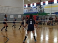 Jess_Eagles_V-Ball_9-2017 (3)